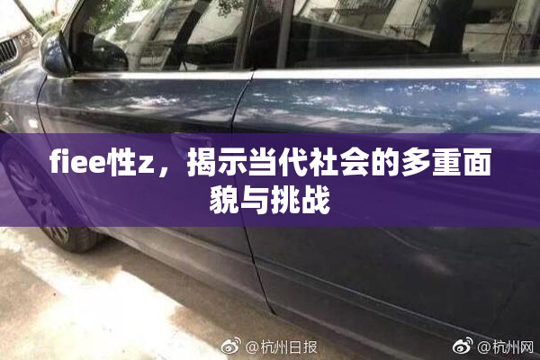 fiee性z，揭示当代社会的多重面貌与挑战