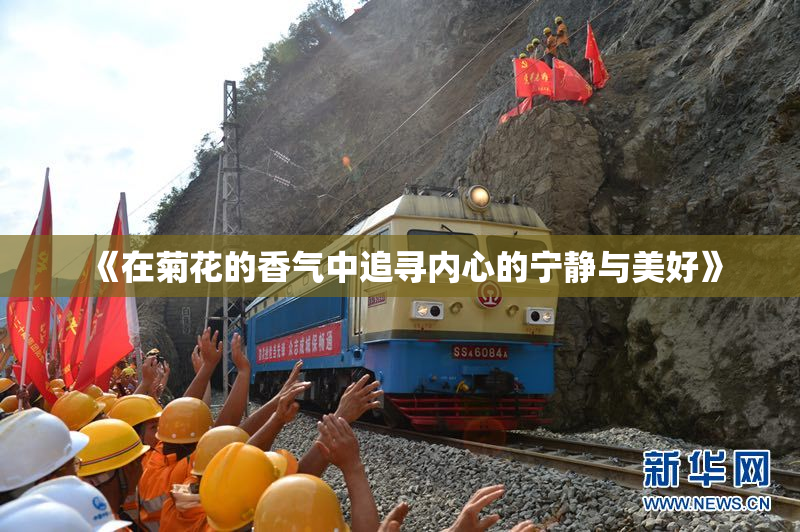 《在菊花的香气中追寻内心的宁静与美好》