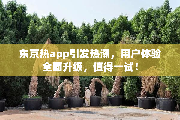 东京热app引发热潮，用户体验全面升级，值得一试！