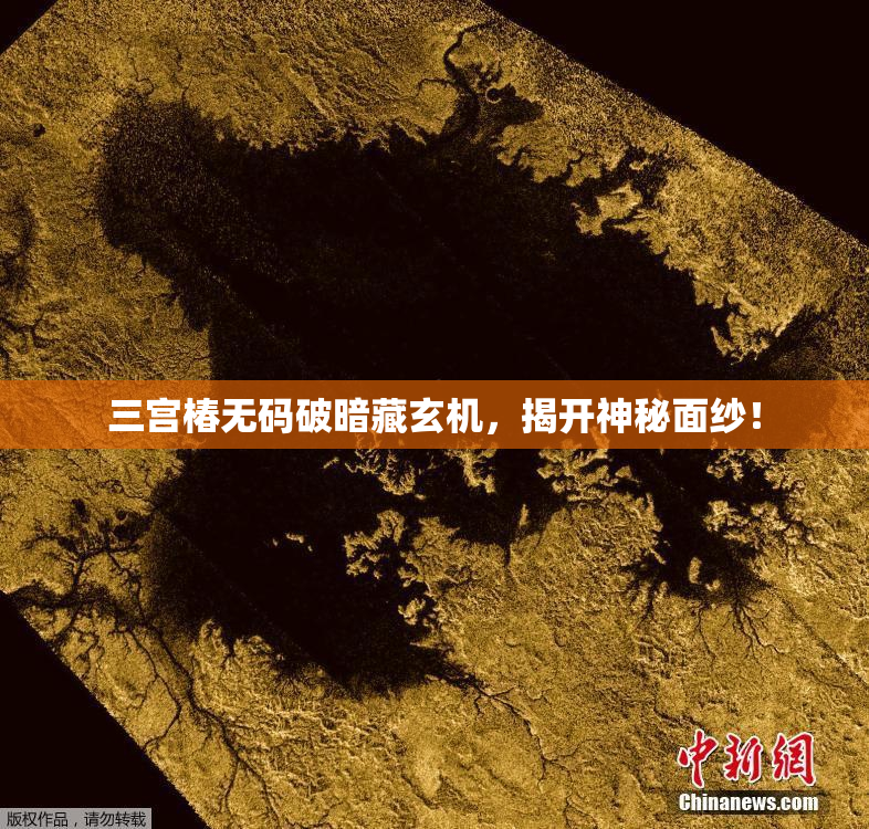 三宫椿无码破暗藏玄机，揭开神秘面纱！