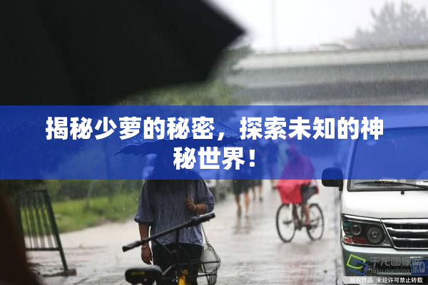 揭秘少萝的秘密，探索未知的神秘世界！