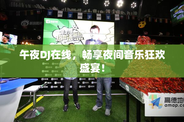 午夜DJ在线，畅享夜间音乐狂欢盛宴！