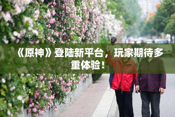 《原神》登陆新平台，玩家期待多重体验！