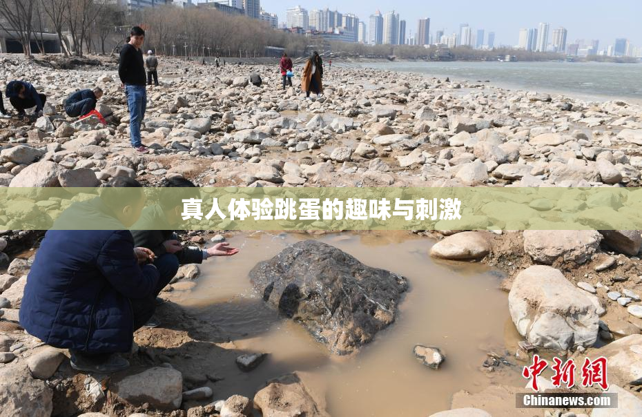 真人体验跳蛋的趣味与刺激