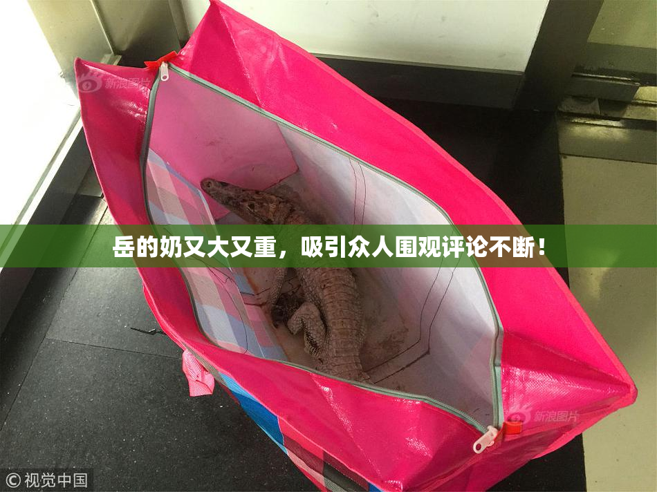 岳的奶又大又重，吸引众人围观评论不断！