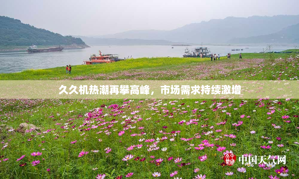久久机热潮再攀高峰，市场需求持续激增