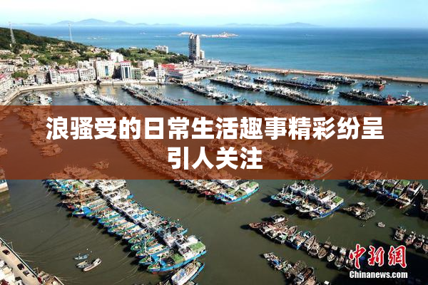浪骚受的日常生活趣事精彩纷呈引人关注