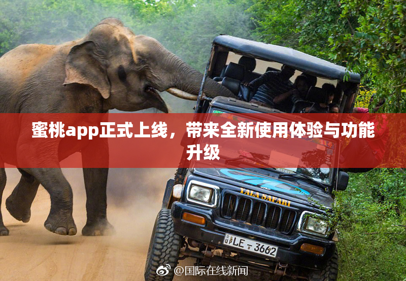 蜜桃app正式上线，带来全新使用体验与功能升级