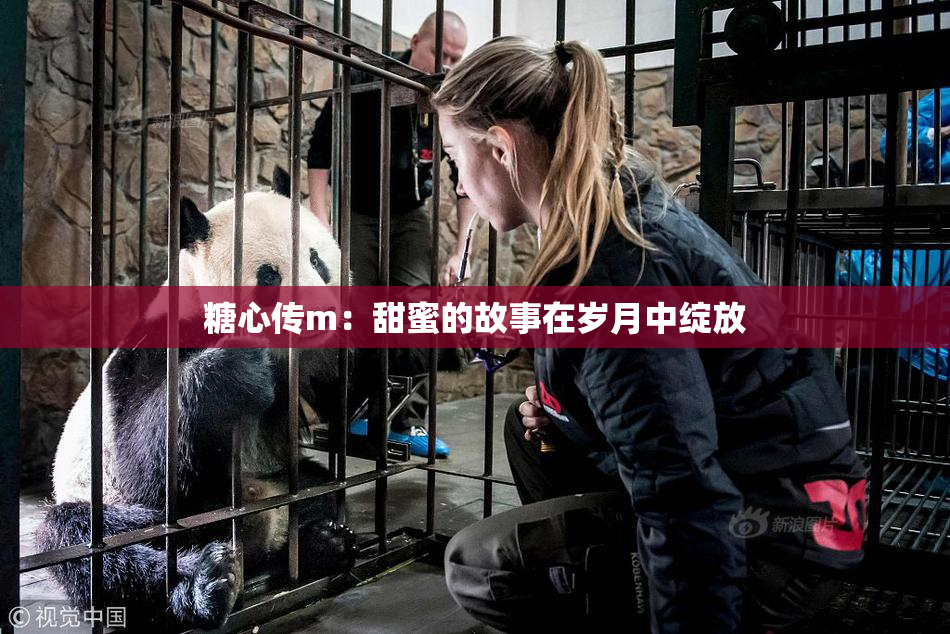 糖心传m：甜蜜的故事在岁月中绽放