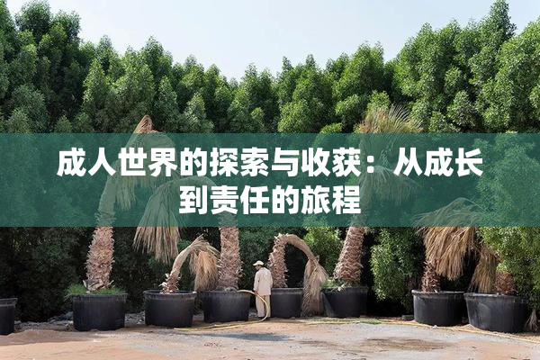 成人世界的探索与收获：从成长到责任的旅程