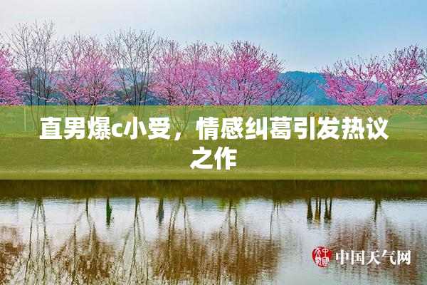 直男爆c小受，情感纠葛引发热议之作