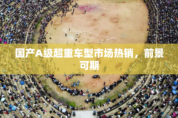 国产A级超重车型市场热销，前景可期