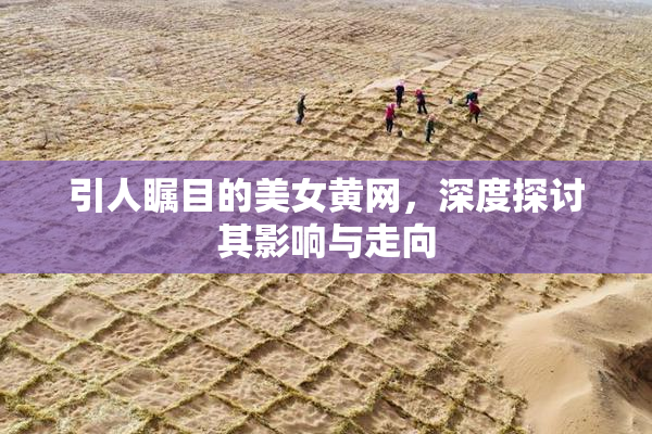 引人瞩目的美女黄网，深度探讨其影响与走向