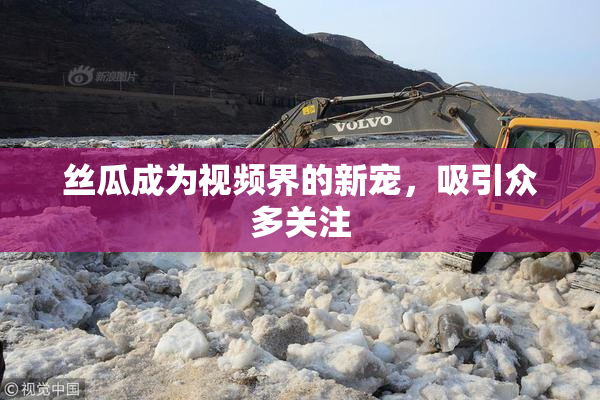 丝瓜成为视频界的新宠，吸引众多关注