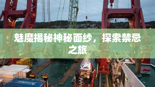 魅魔揭秘神秘面纱，探索禁忌之旅