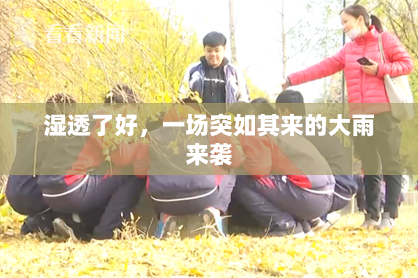 湿透了好，一场突如其来的大雨来袭