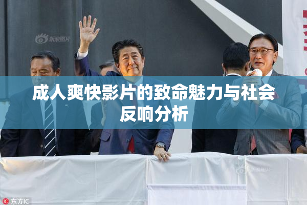 成人爽快影片的致命魅力与社会反响分析