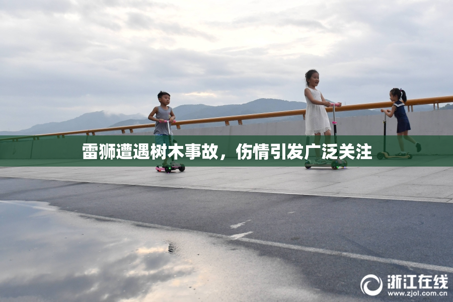 雷狮遭遇树木事故，伤情引发广泛关注