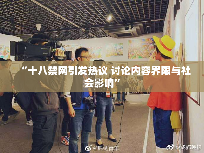 “十八禁网引发热议 讨论内容界限与社会影响”