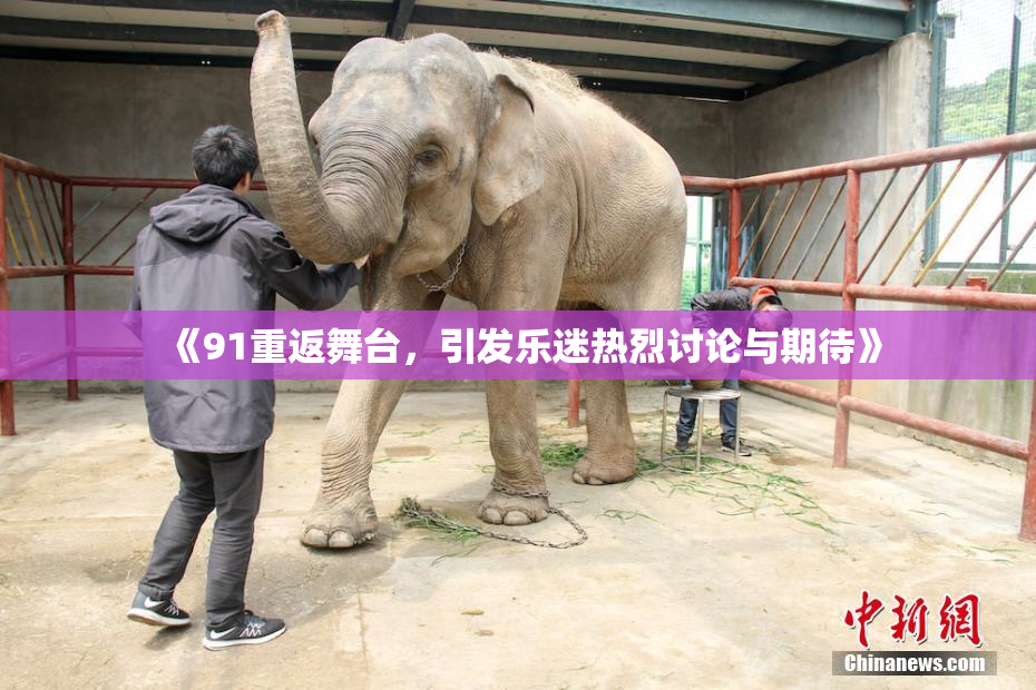 《91重返舞台，引发乐迷热烈讨论与期待》