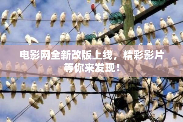 电影网全新改版上线，精彩影片等你来发现！