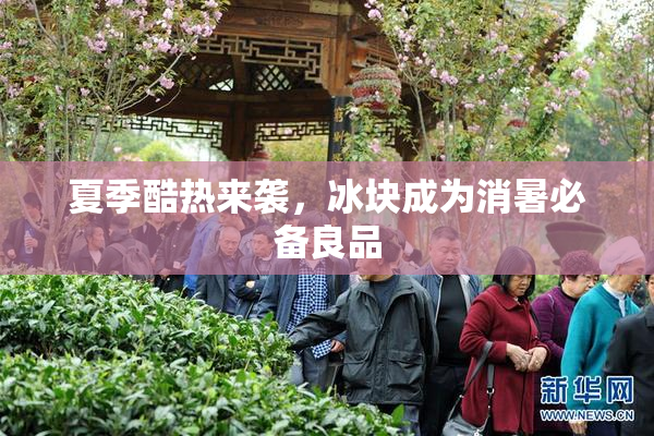 夏季酷热来袭，冰块成为消暑必备良品