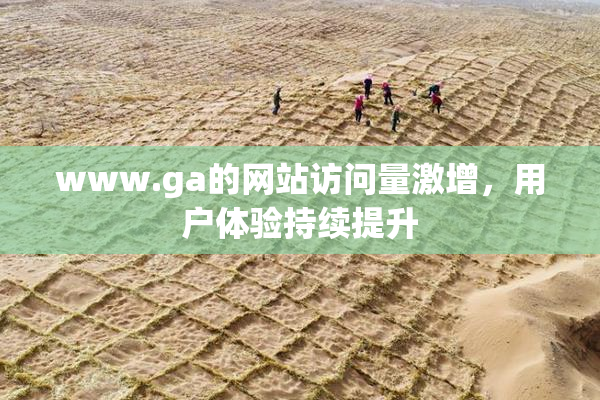 www.ga的网站访问量激增，用户体验持续提升