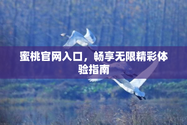 蜜桃官网入口，畅享无限精彩体验指南
