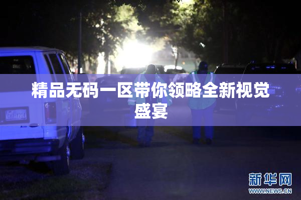 精品无码一区带你领略全新视觉盛宴