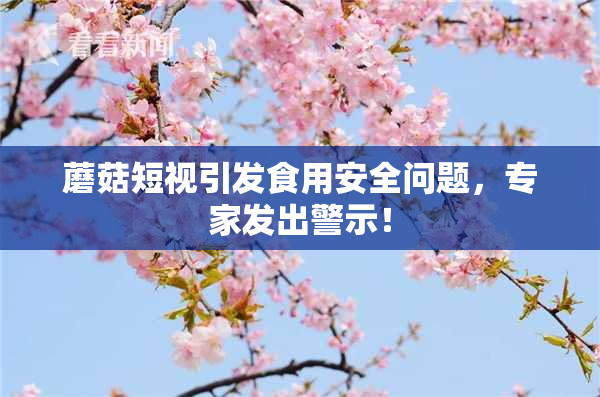 蘑菇短视引发食用安全问题，专家发出警示！