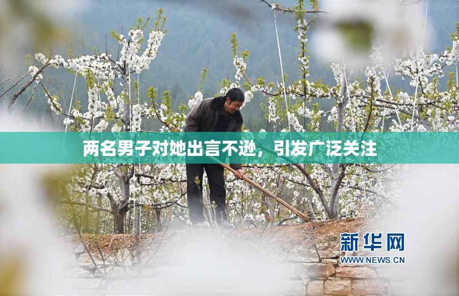 两名男子对她出言不逊，引发广泛关注