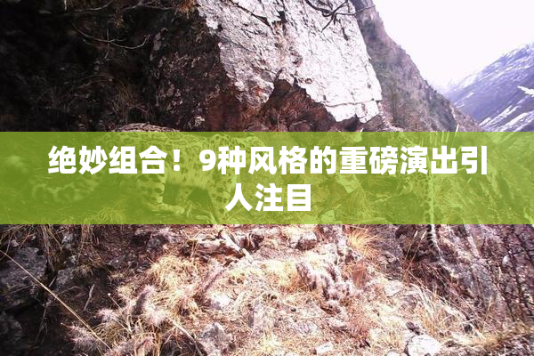 绝妙组合！9种风格的重磅演出引人注目