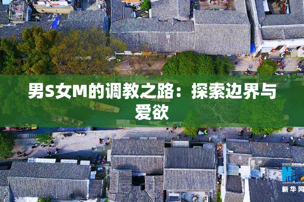男S女M的调教之路：探索边界与爱欲