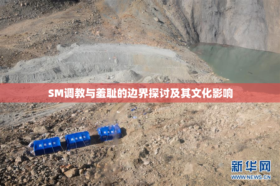 SM调教与羞耻的边界探讨及其文化影响