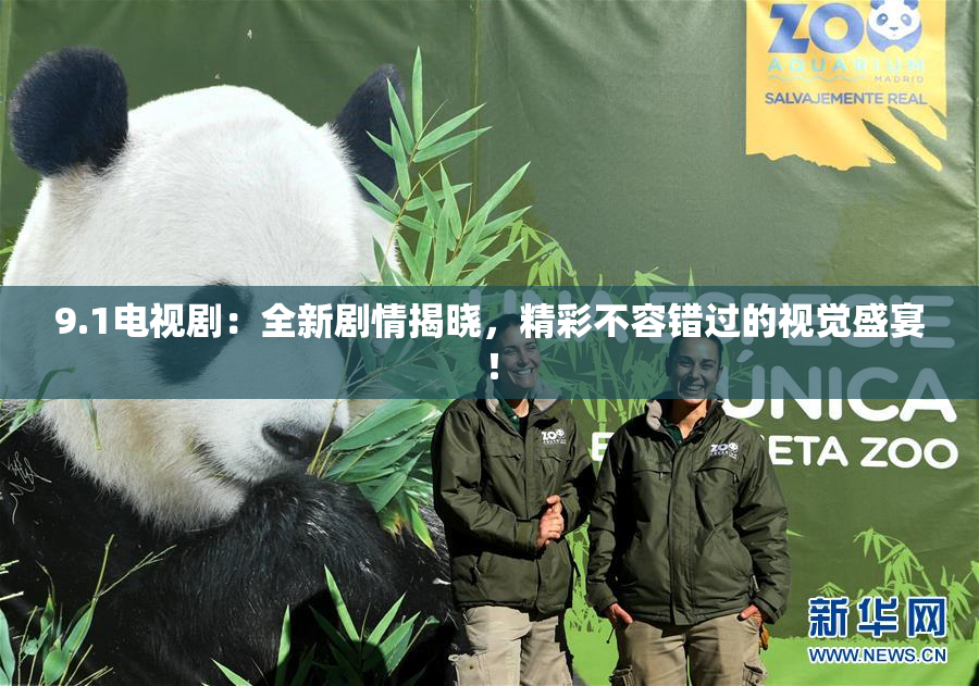 9.1电视剧：全新剧情揭晓，精彩不容错过的视觉盛宴！