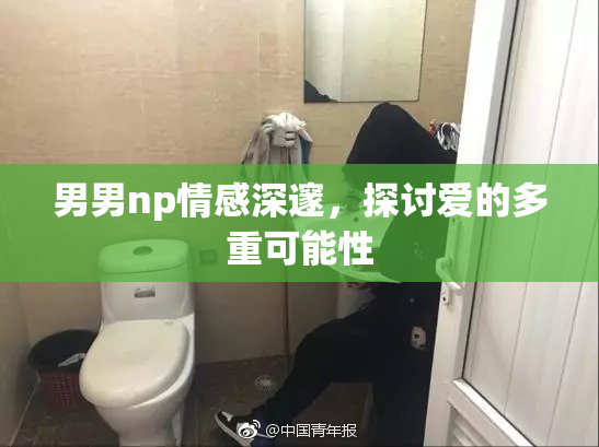 男男np情感深邃，探讨爱的多重可能性