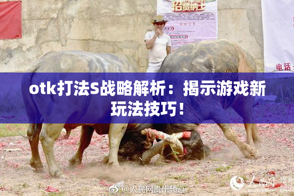 otk打法S战略解析：揭示游戏新玩法技巧！