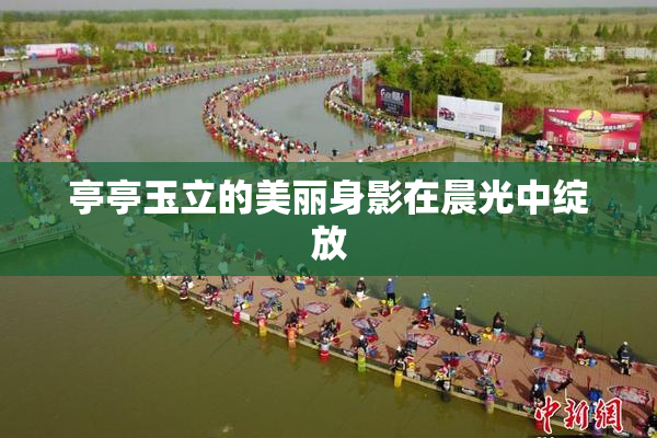 亭亭玉立的美丽身影在晨光中绽放