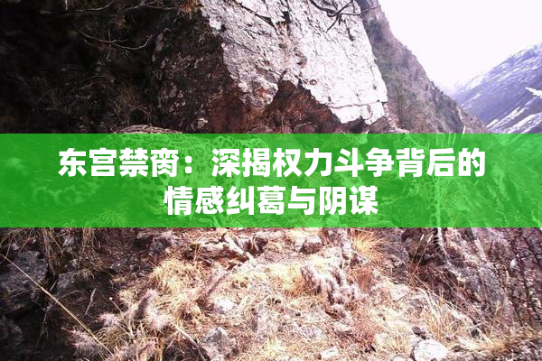 东宫禁脔：深揭权力斗争背后的情感纠葛与阴谋