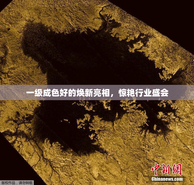 一级成色好的焕新亮相，惊艳行业盛会