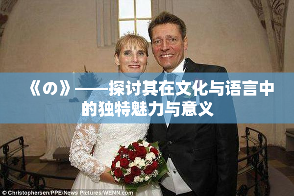 《の》——探讨其在文化与语言中的独特魅力与意义