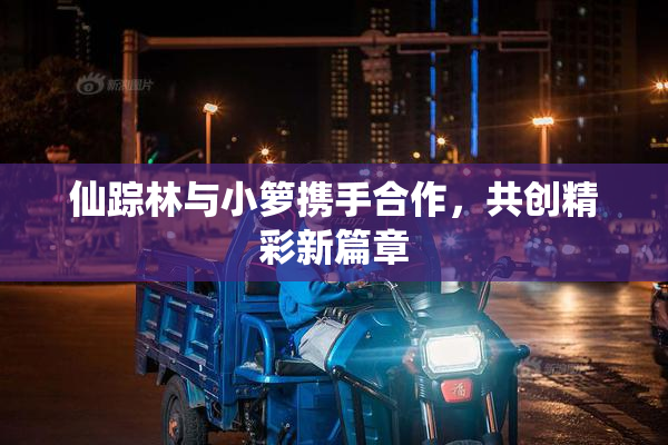 仙踪林与小箩携手合作，共创精彩新篇章