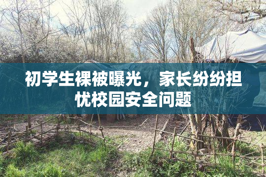 初学生裸被曝光，家长纷纷担忧校园安全问题