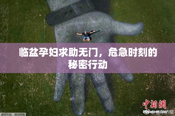 临盆孕妇求助无门，危急时刻的秘密行动