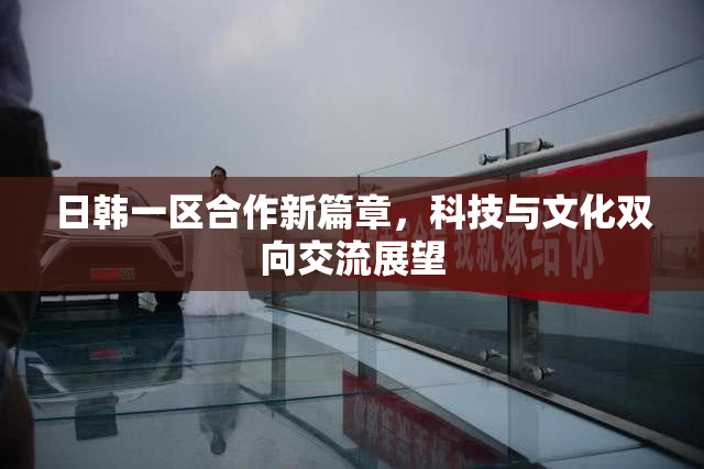 日韩一区合作新篇章，科技与文化双向交流展望