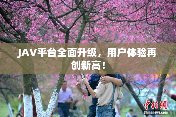 JAV平台全面升级，用户体验再创新高！