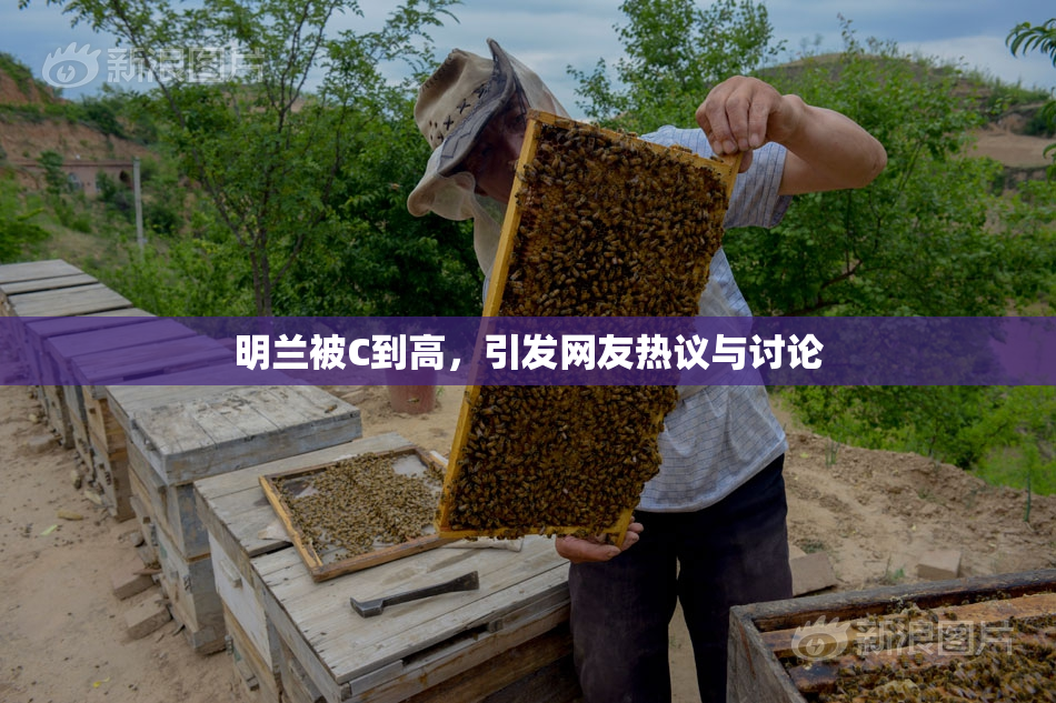 明兰被C到高，引发网友热议与讨论
