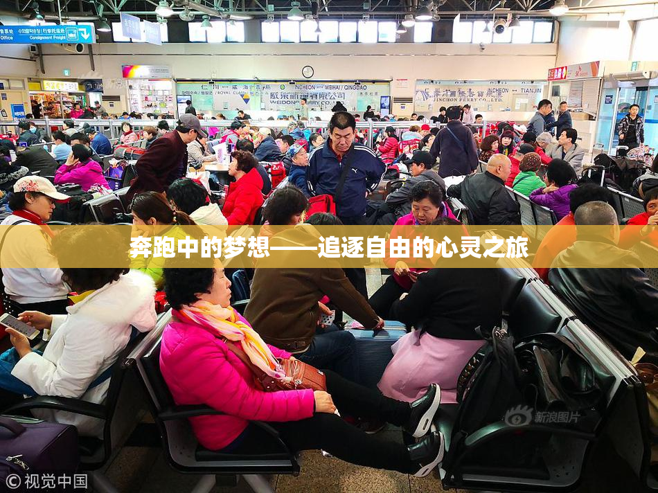 奔跑中的梦想——追逐自由的心灵之旅