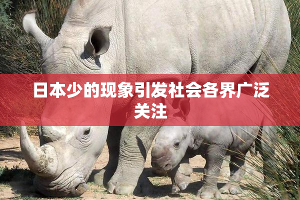 日本少的现象引发社会各界广泛关注