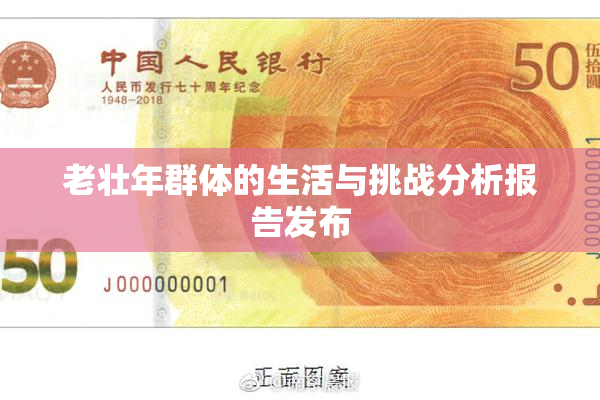 老壮年群体的生活与挑战分析报告发布